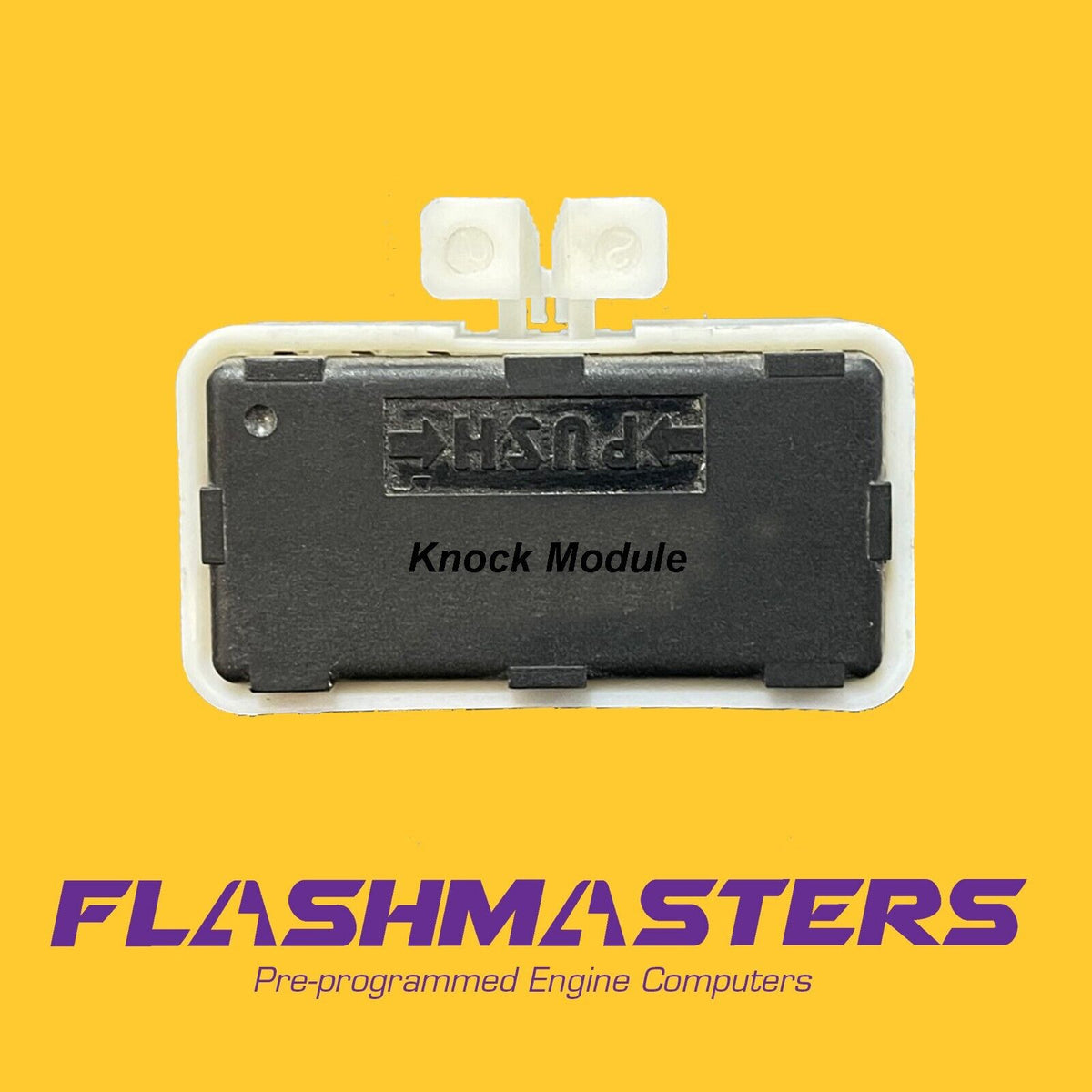 16214671 1996 LT1 Knock module – Flashmasters (513) 648-0444